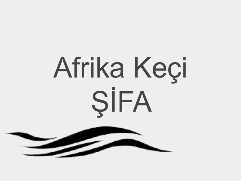YURTDIŞI KEÇİ ŞİFA KURBANI